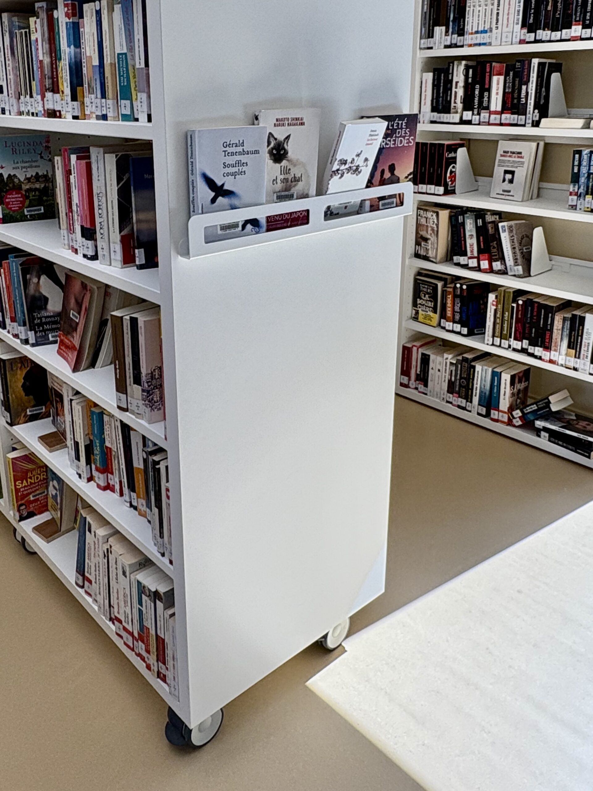 Photo 08-07-2025 16 45 05