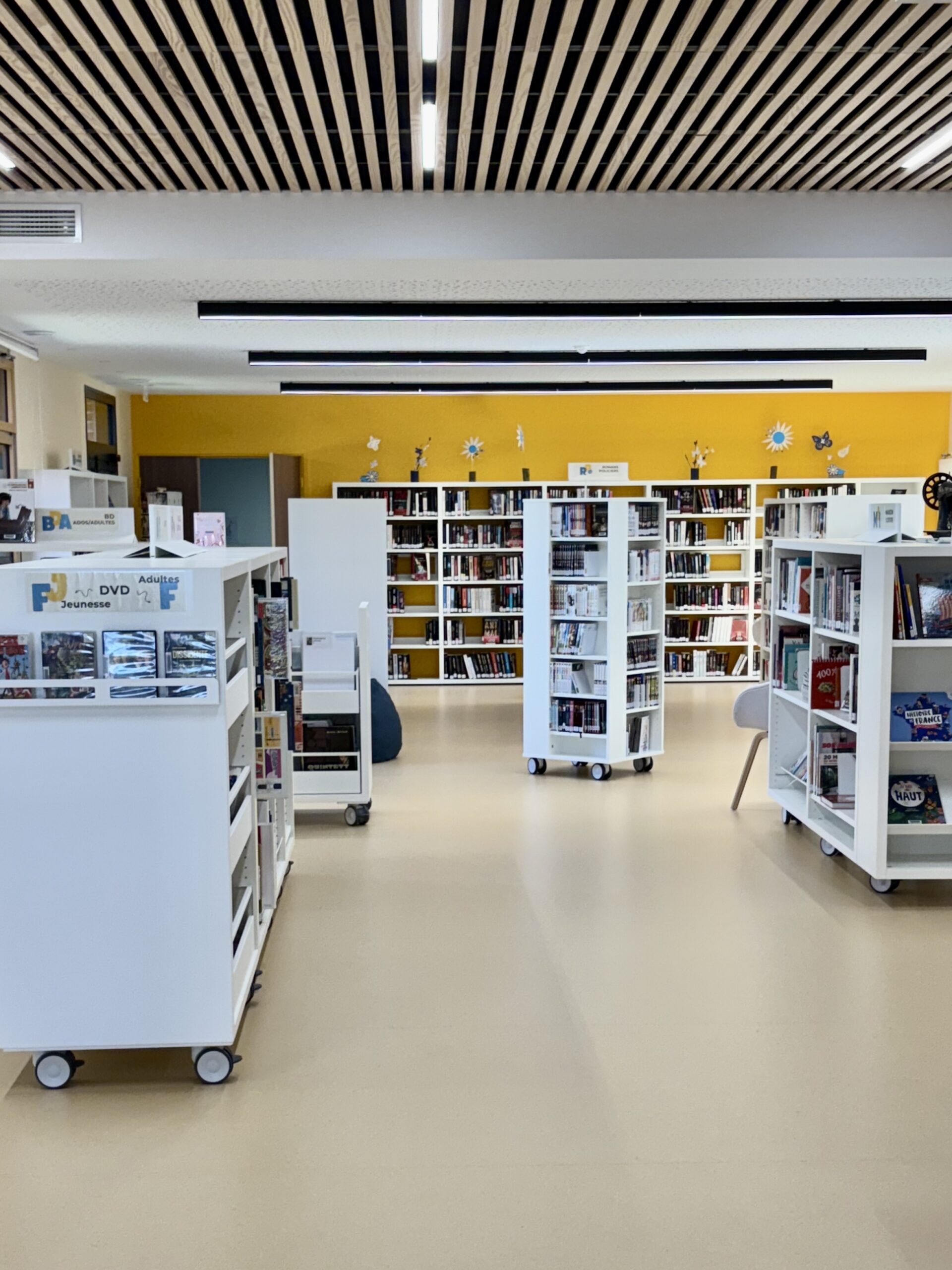 Photo 08-07-2025 16 55 20