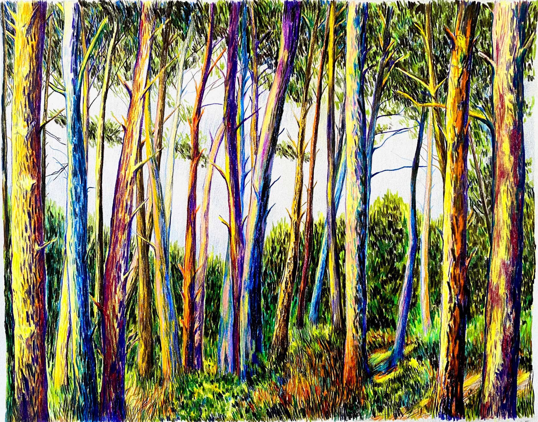 Site Internet_JG_forÃªt-initiale_basdef