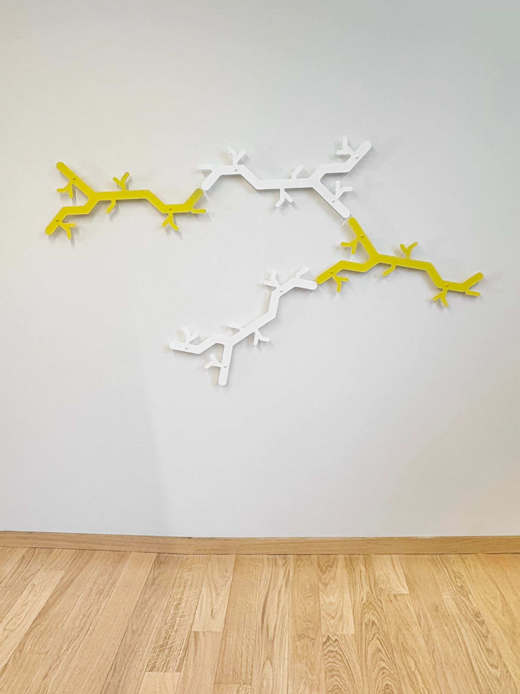 Photo 27-02-2026 09 21 14